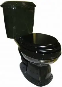 Black Dual Flush Two-Piece Elongated Toilet