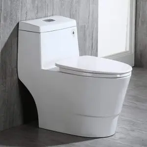 WOODBRIDGE T-0019 Dual Elongated One Piece Toilet, quietest flushing toilet