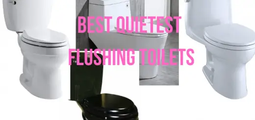 Quietest Flushing Toilets