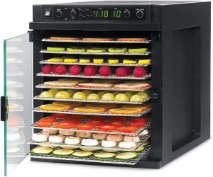 Tribest Sedona Express 11 Tray Digital Food Dehydrator, silent food dehydrator