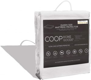 Coop Home Goods Mattress Protector