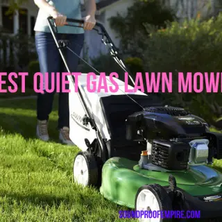 quietest gas lawn mowers