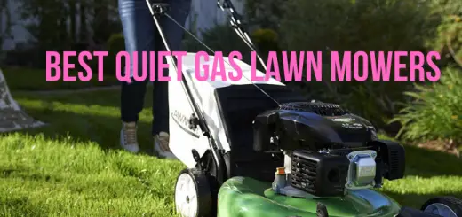 quietest gas lawn mowers