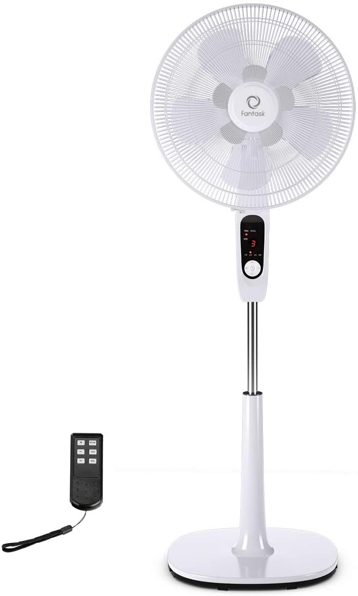 Quietest Pedestal Fan 5 Best Quiet Standing Fans for Cool Breeze