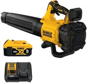 Dewalt 20V Leaf Blower