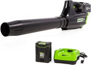 Greenworks Pro 500 CFM 80V Cordless Axial Leaf Blower