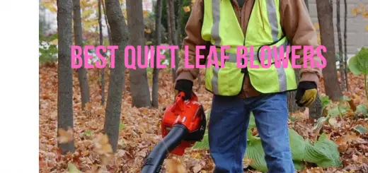 quietest leaf blower