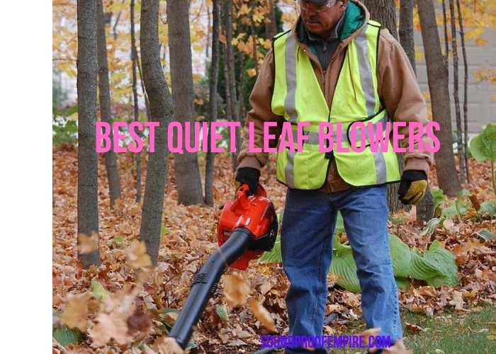 quietest leaf blower
